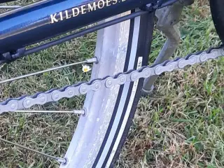 Damecykel kildemoes