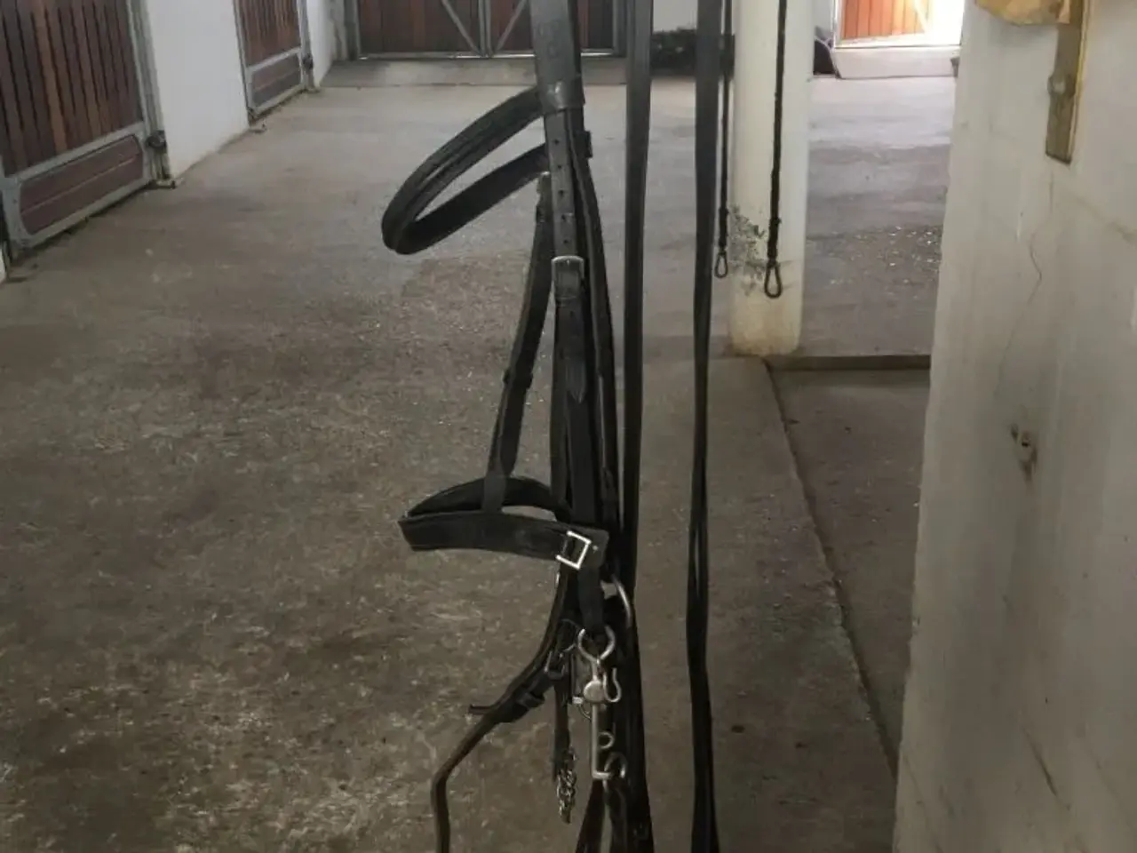 Billede 3 - Sabre Kandar