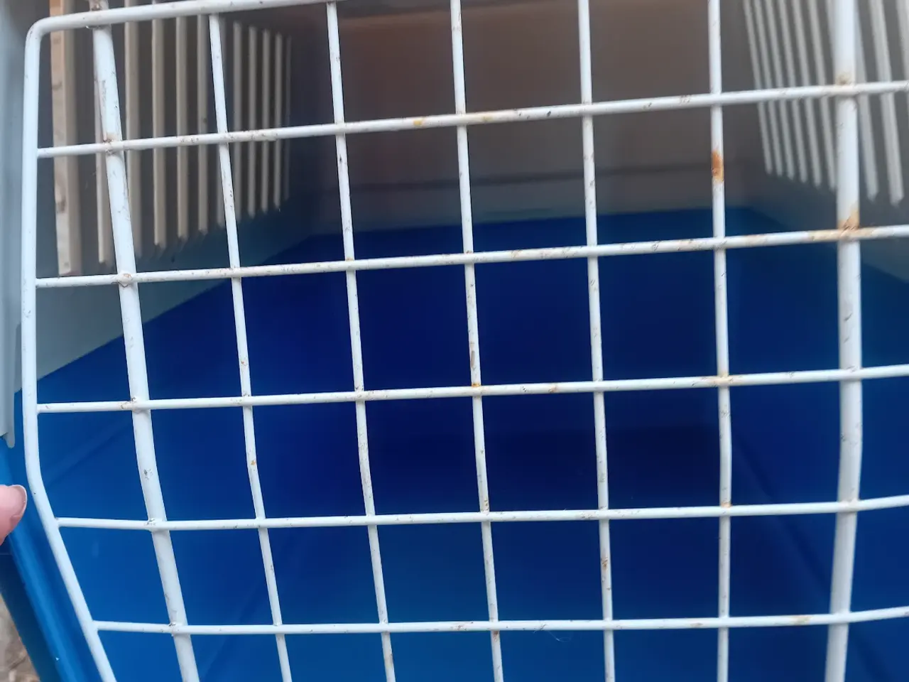 Billede 4 - Transportkasse