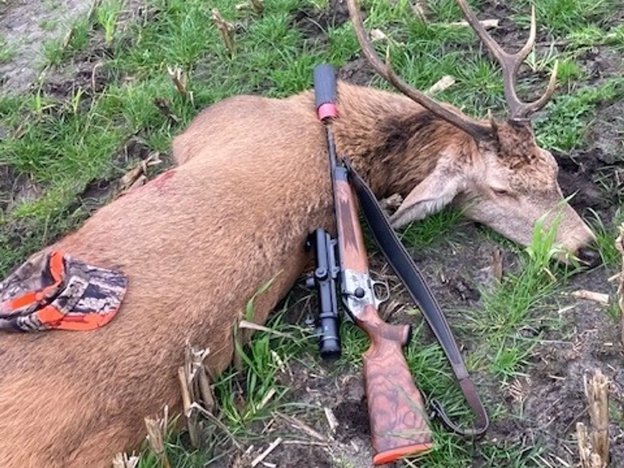Billede 4 - Blaser R8 Luxus