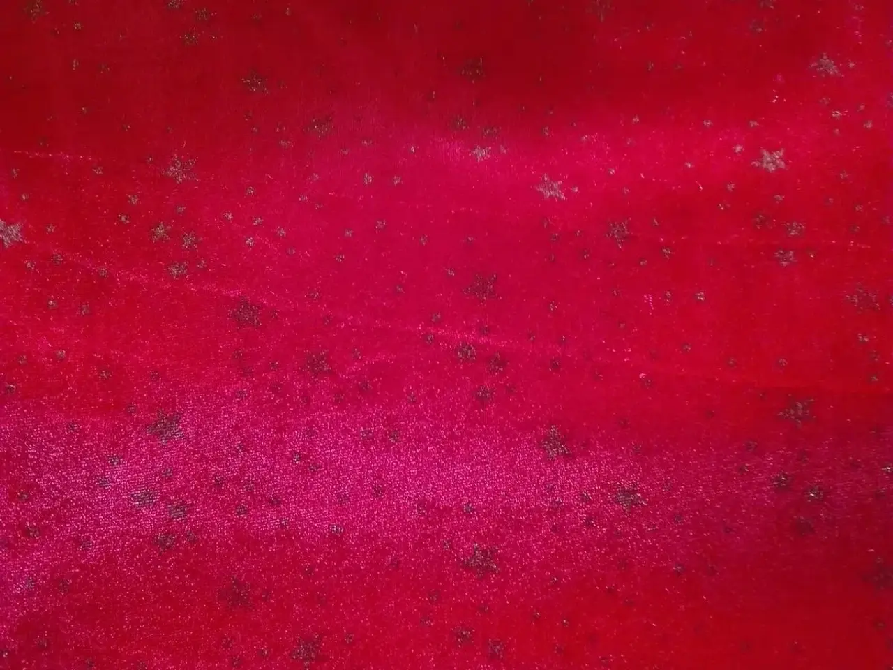 Billede 2 - Nervøs velour