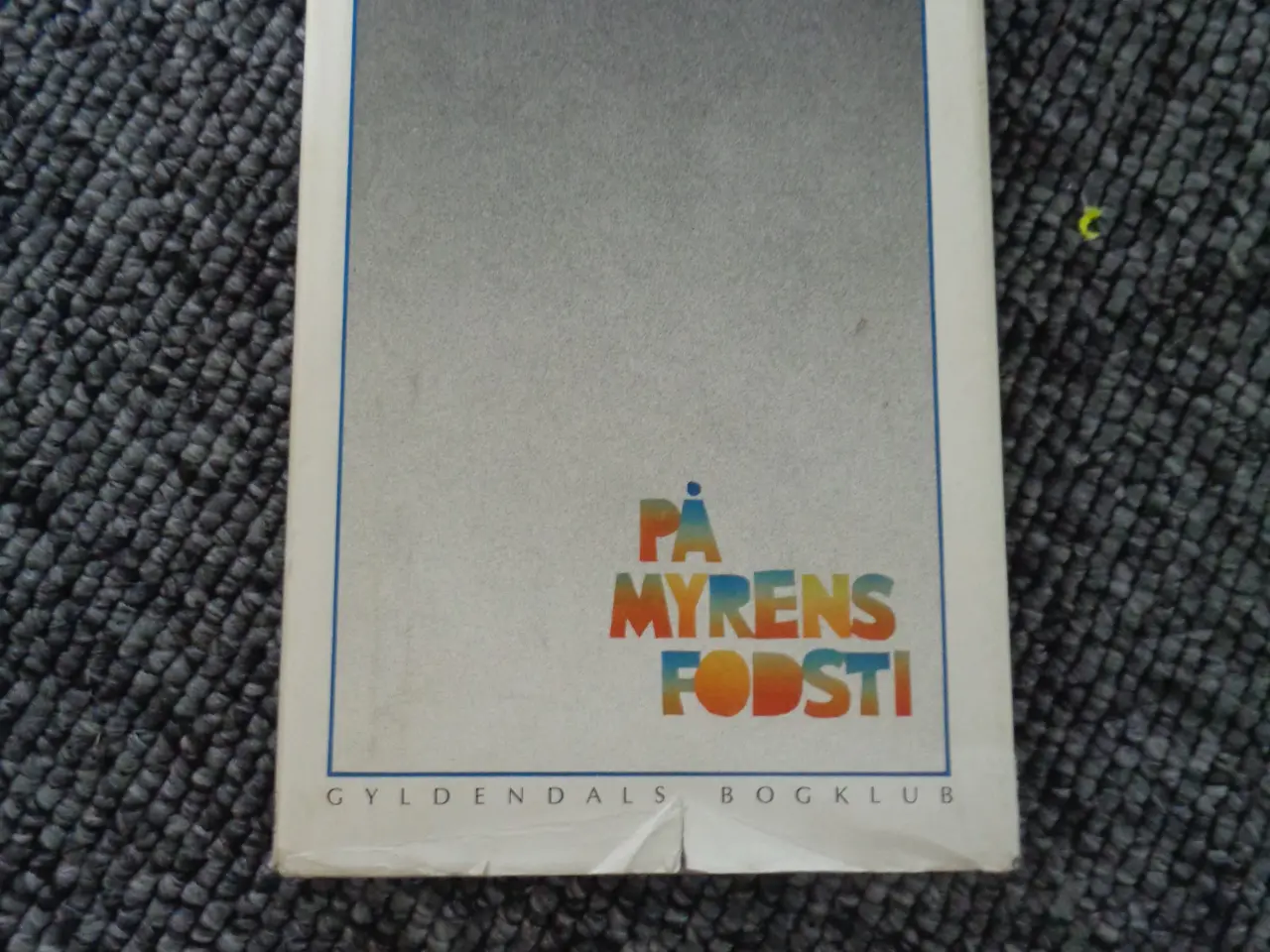 Billede 1 - På myrens fodsti