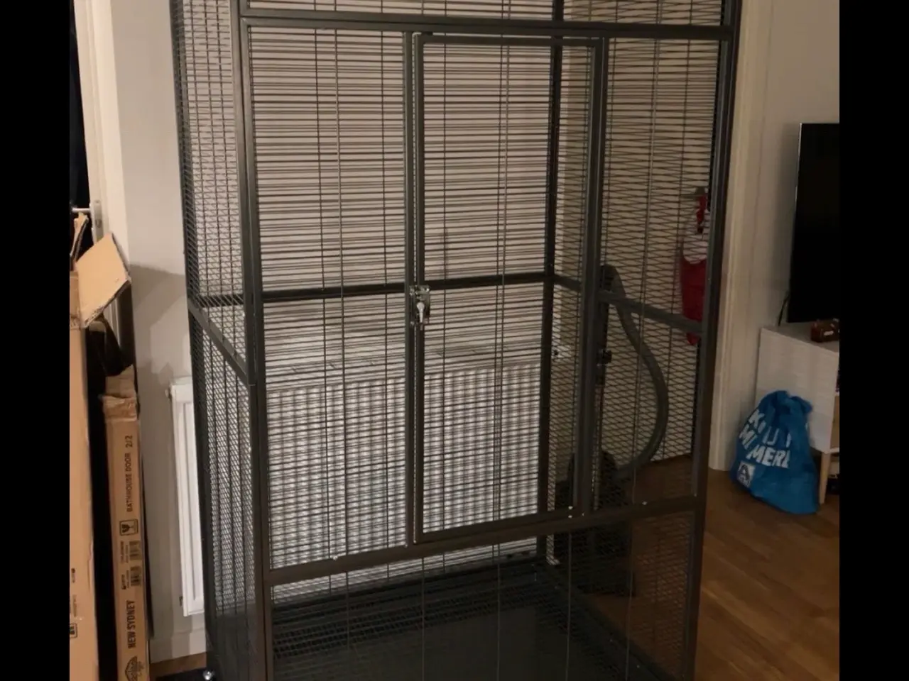 Billede 2 - 2 søde sugargliders søger ny foderslave 😃