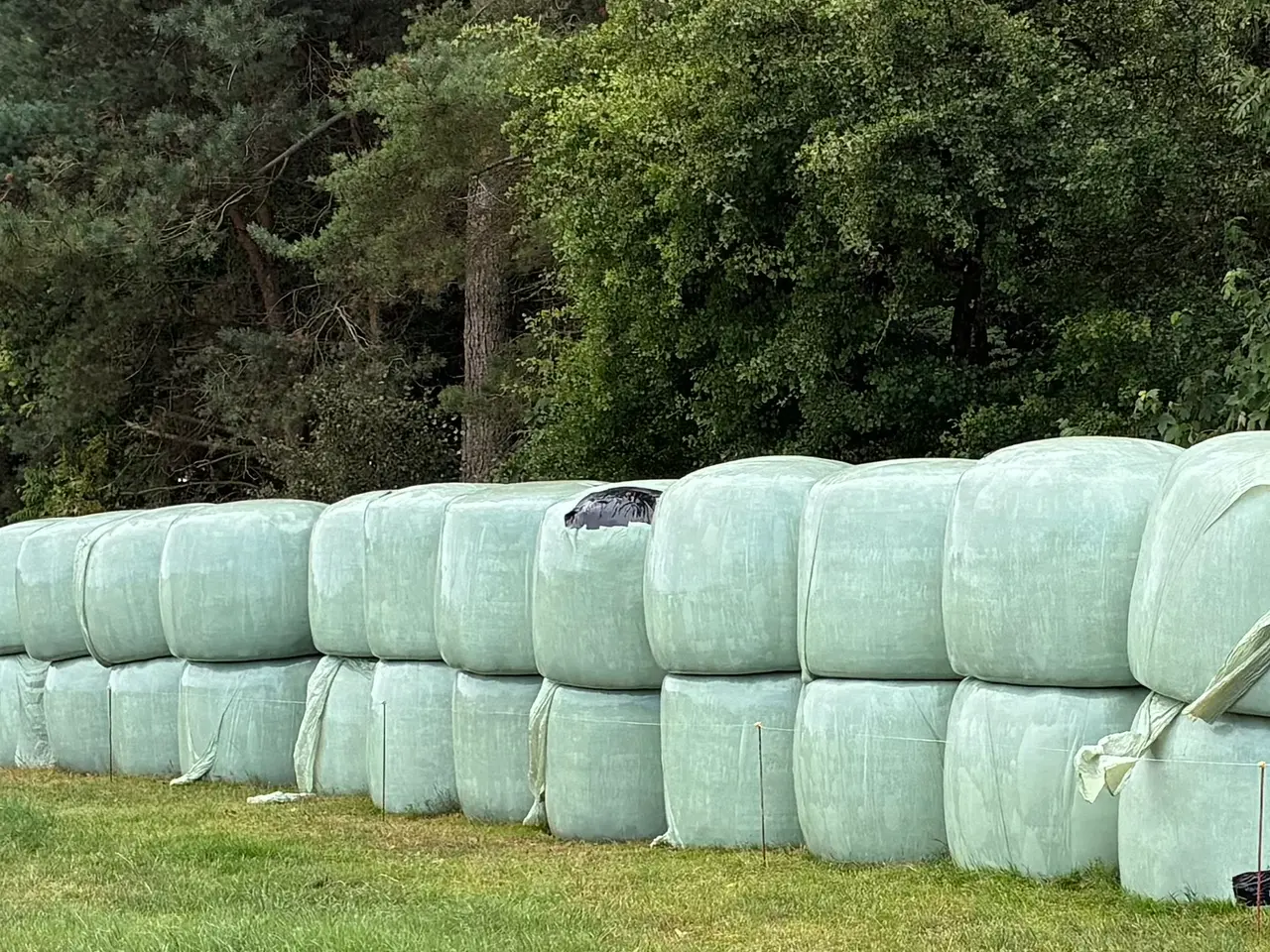 Billede 1 - Wrap baller sælges