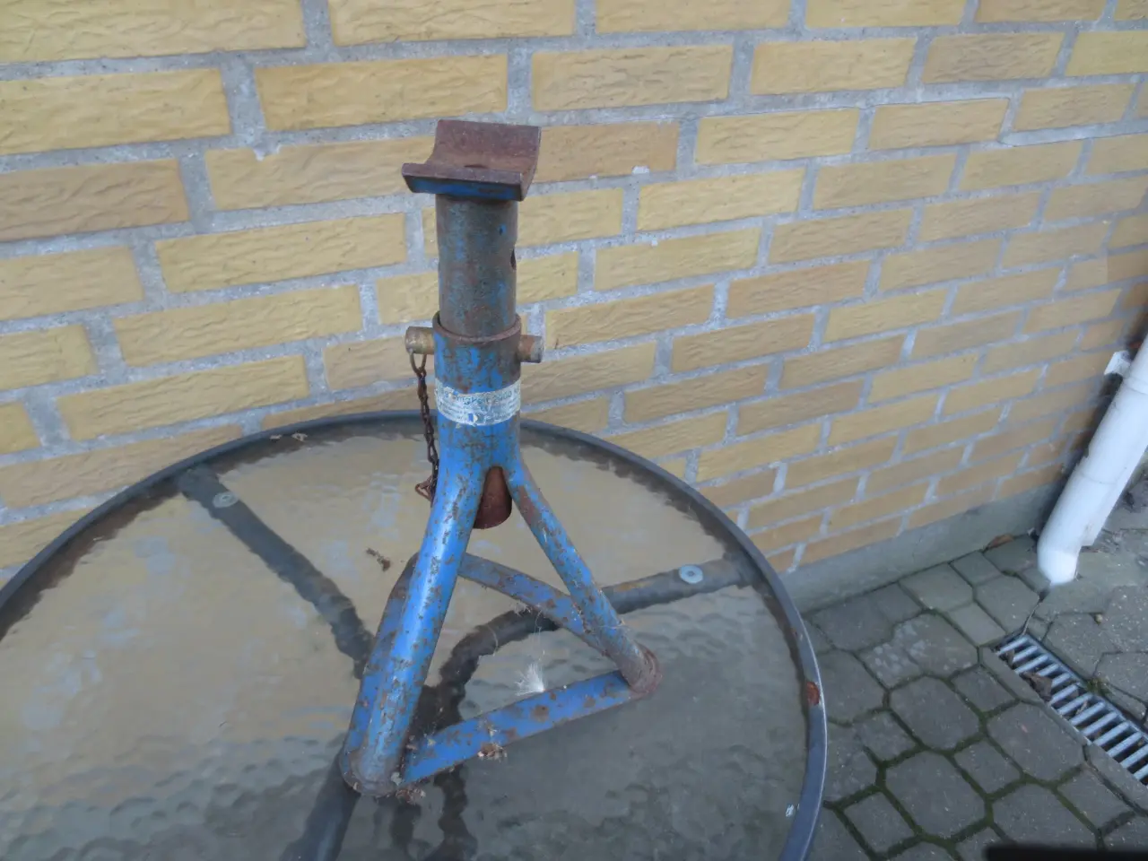 Billede 2 - Buk -