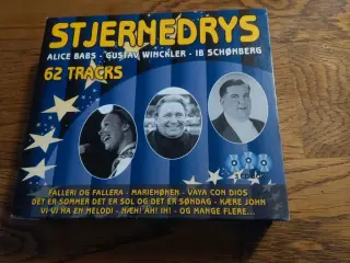 Stjernedrys