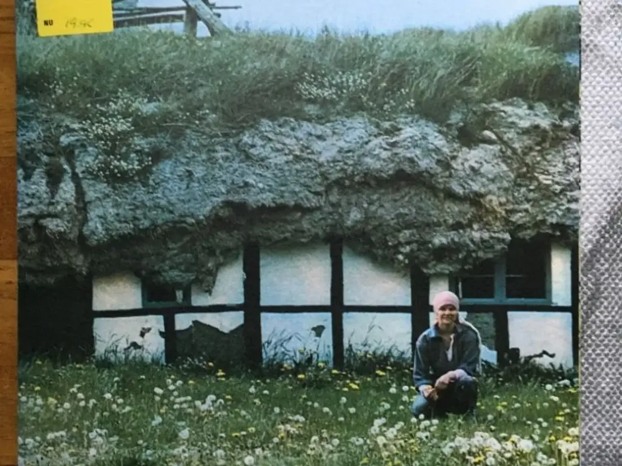 Billede 1 - LPere fra ca. 1970erne. Giv bud.