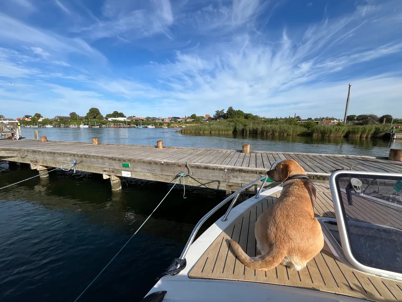 Billede 13 - Quicksilver Activ 675 Cruiser med Mercury 150 HK F