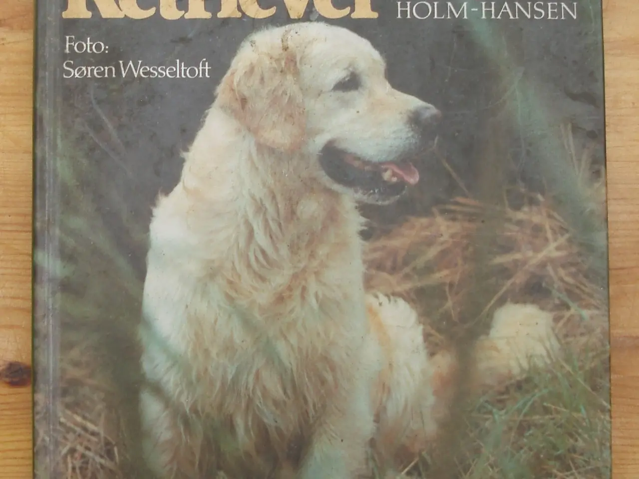 Billede 1 - Bogen om Golden Retriever