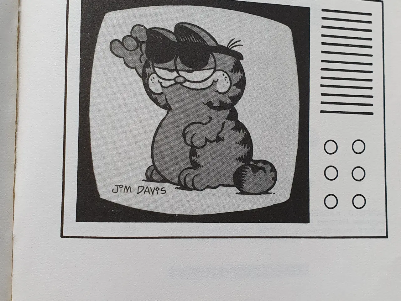 Billede 7 - Tegneserie garfield