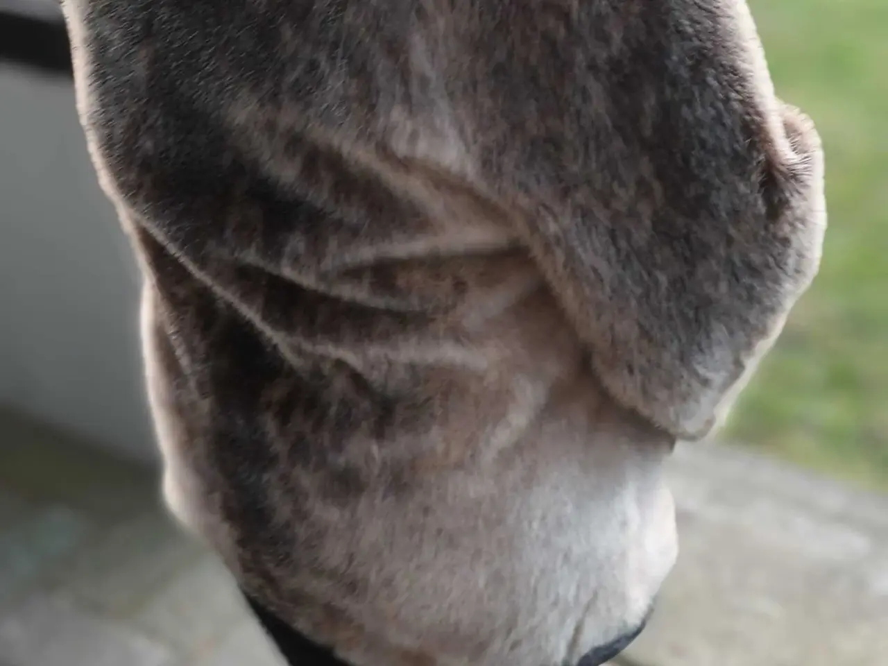 Billede 4 - Sælskindsjakke med smarte detaljer 