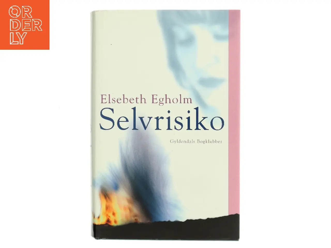 Billede 1 - Selvrisiko af Elsebeth Egholm (Bog)