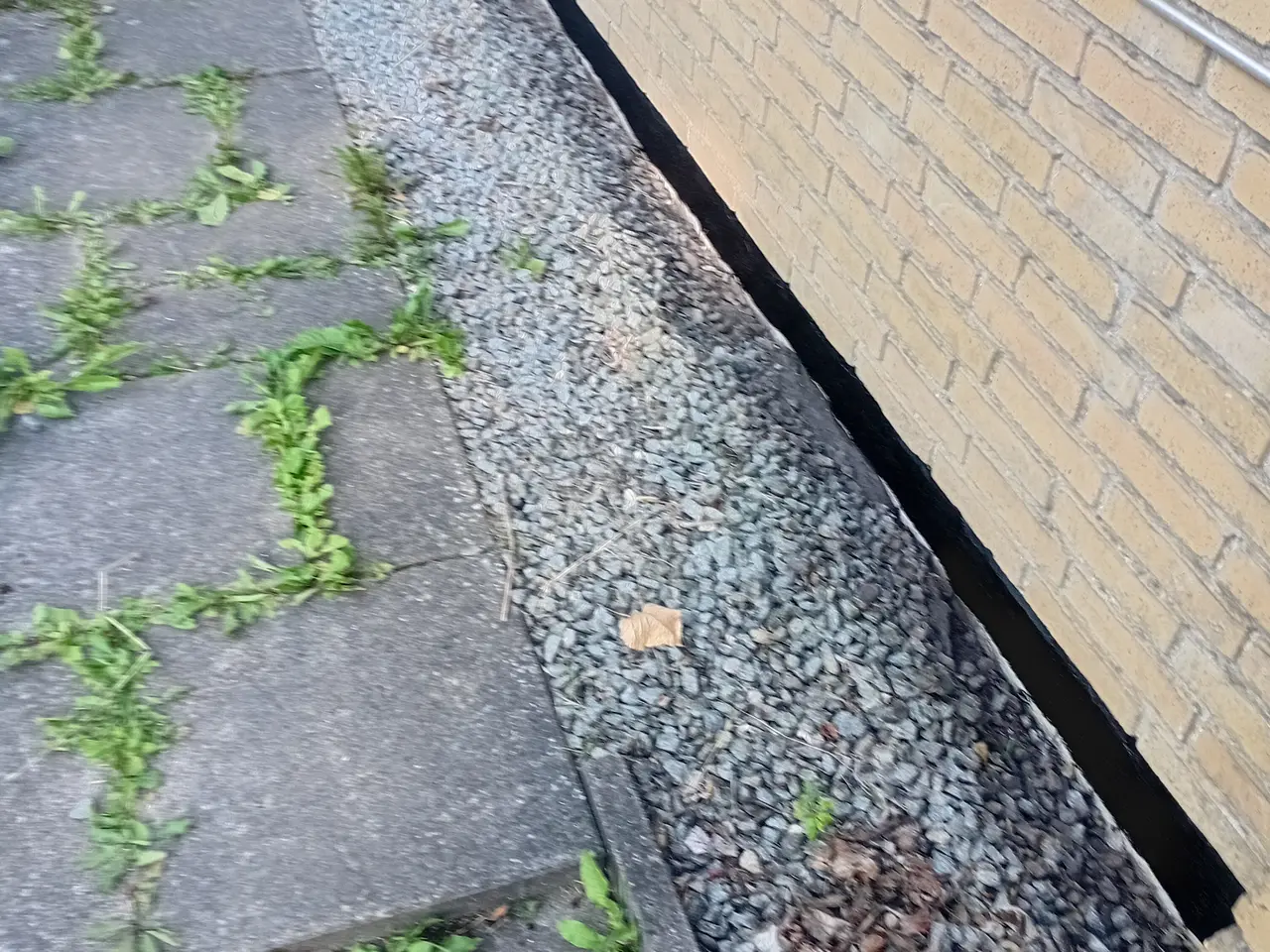 Billede 1 - Små skærver til selv optag