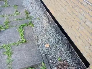 Små skærver til selv optag