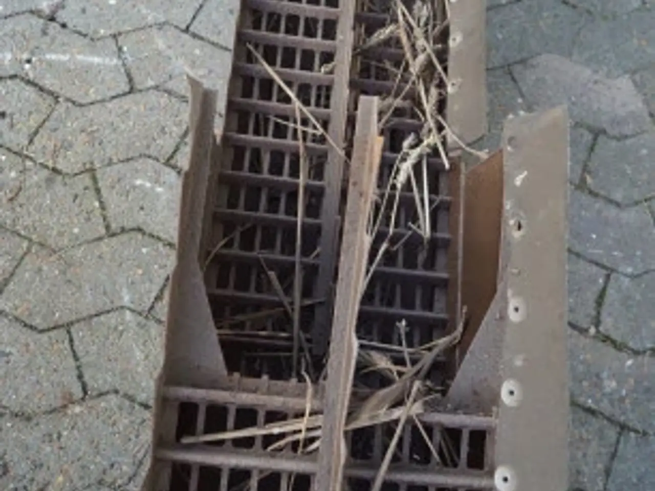 Billede 8 - Dronningborg D9000 Ryster 28480523