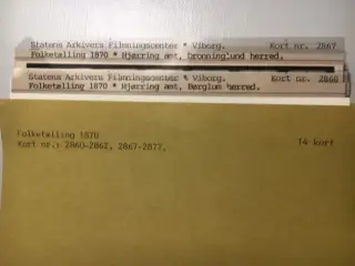 Folketælling Hjørring Amt 1870. Giv bud.