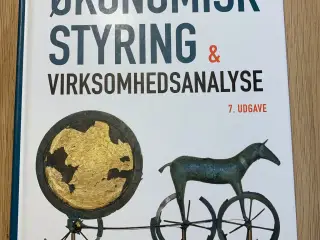 Økonomisk styring