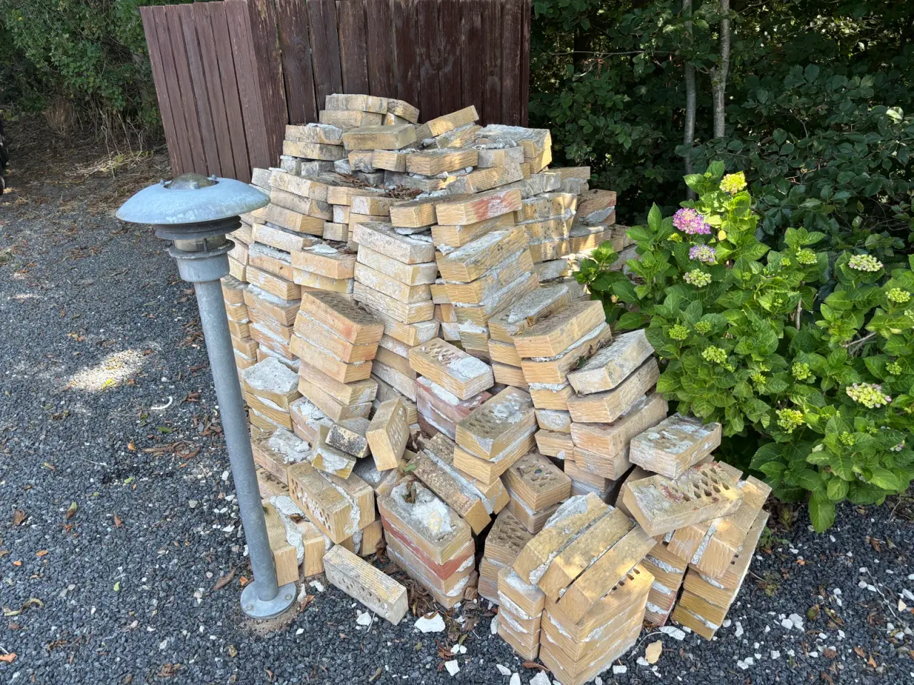 Billede 1 - Mursten gule