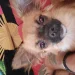 SKIPPER7