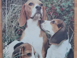 Bogen om Beagle af I. C. Christensen