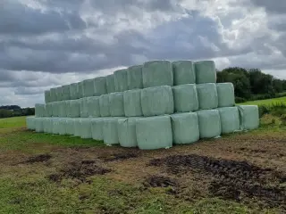 Eng wrap