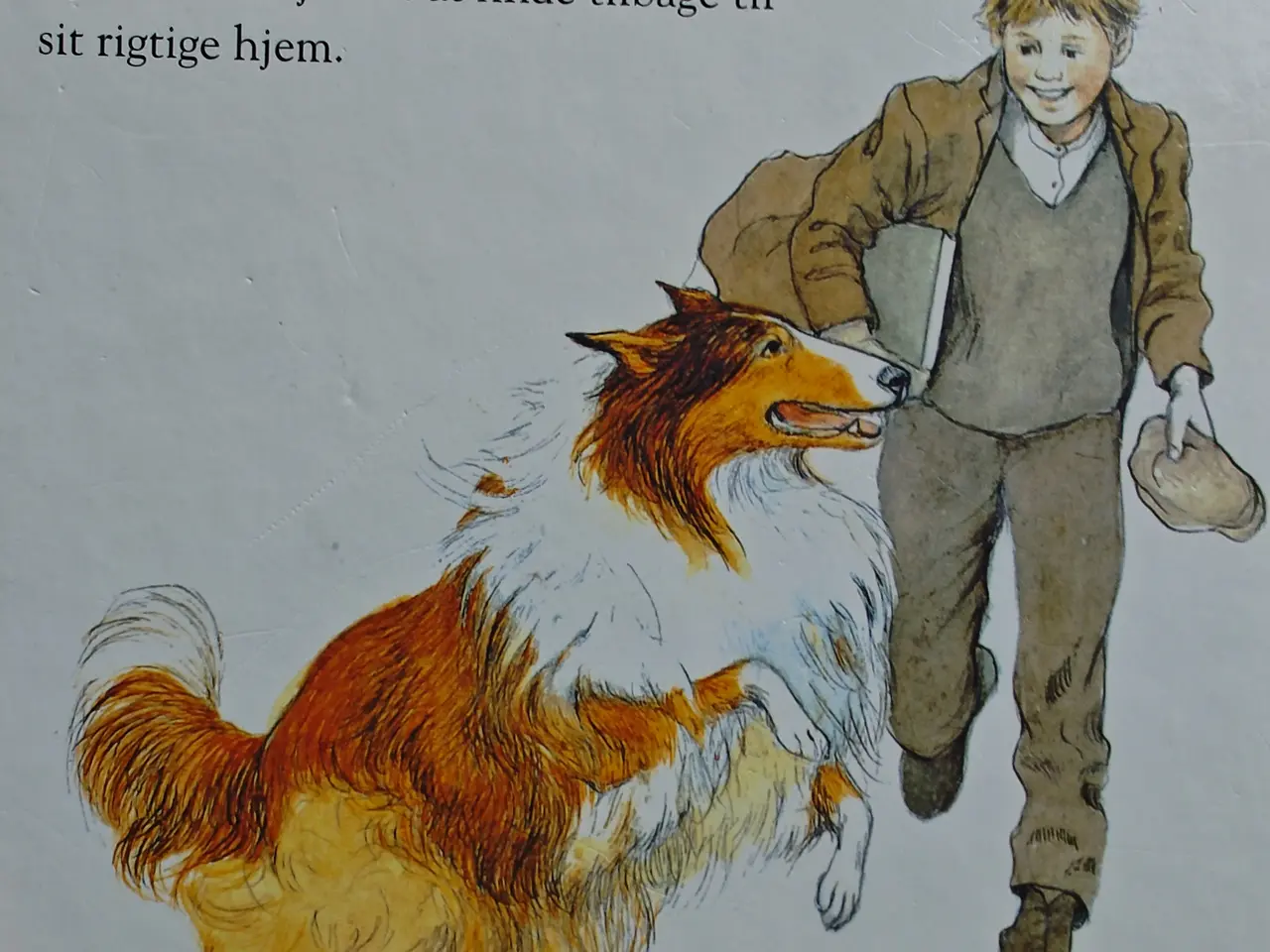 Billede 2 - Lassie finder hjem BOG