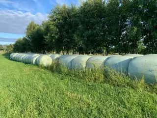 Prima wrappet hø i rundballer