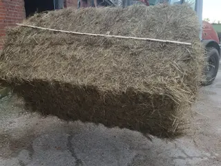 hø i mini big