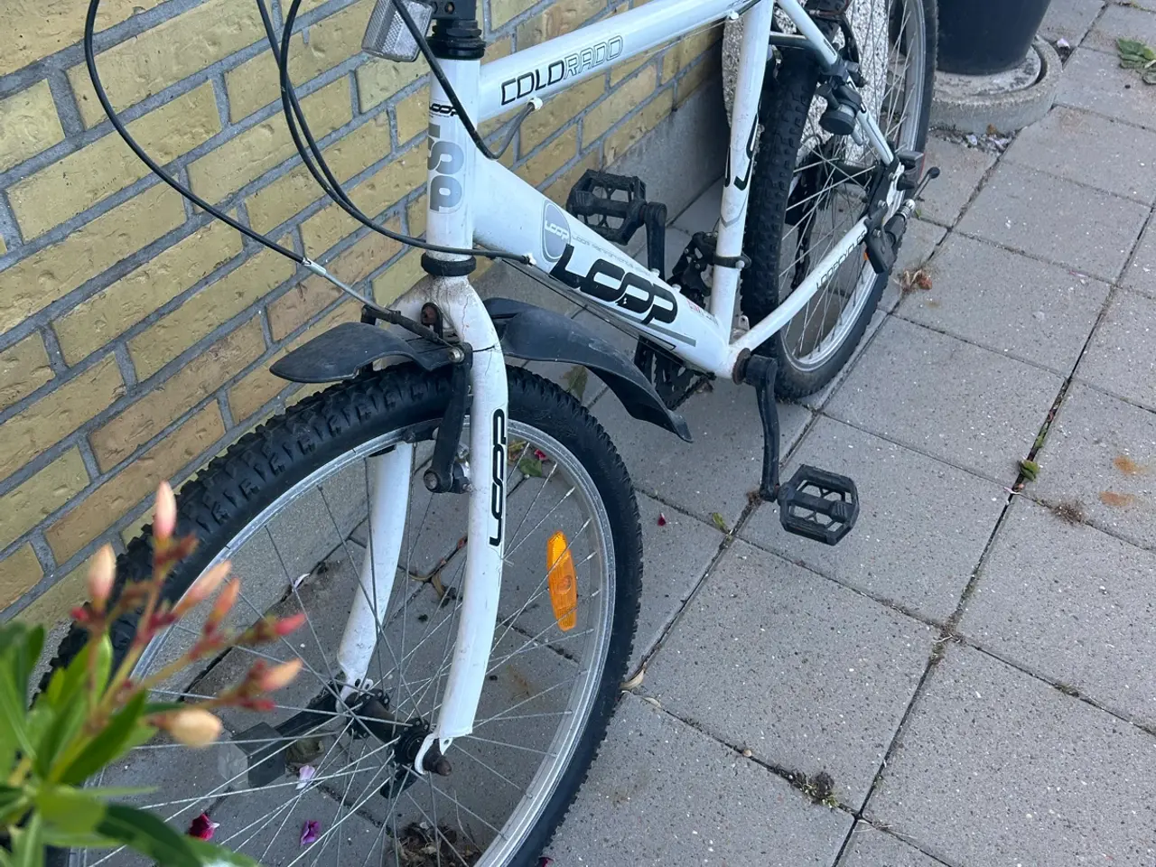 Billede 3 - Loop ColoRado Cykel Til Salg