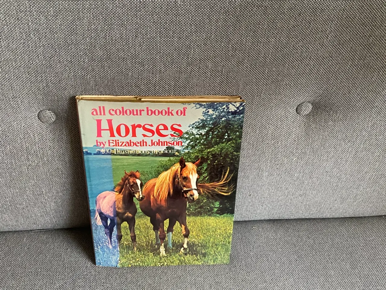 Billede 1 - Heste bog KUN 65kr