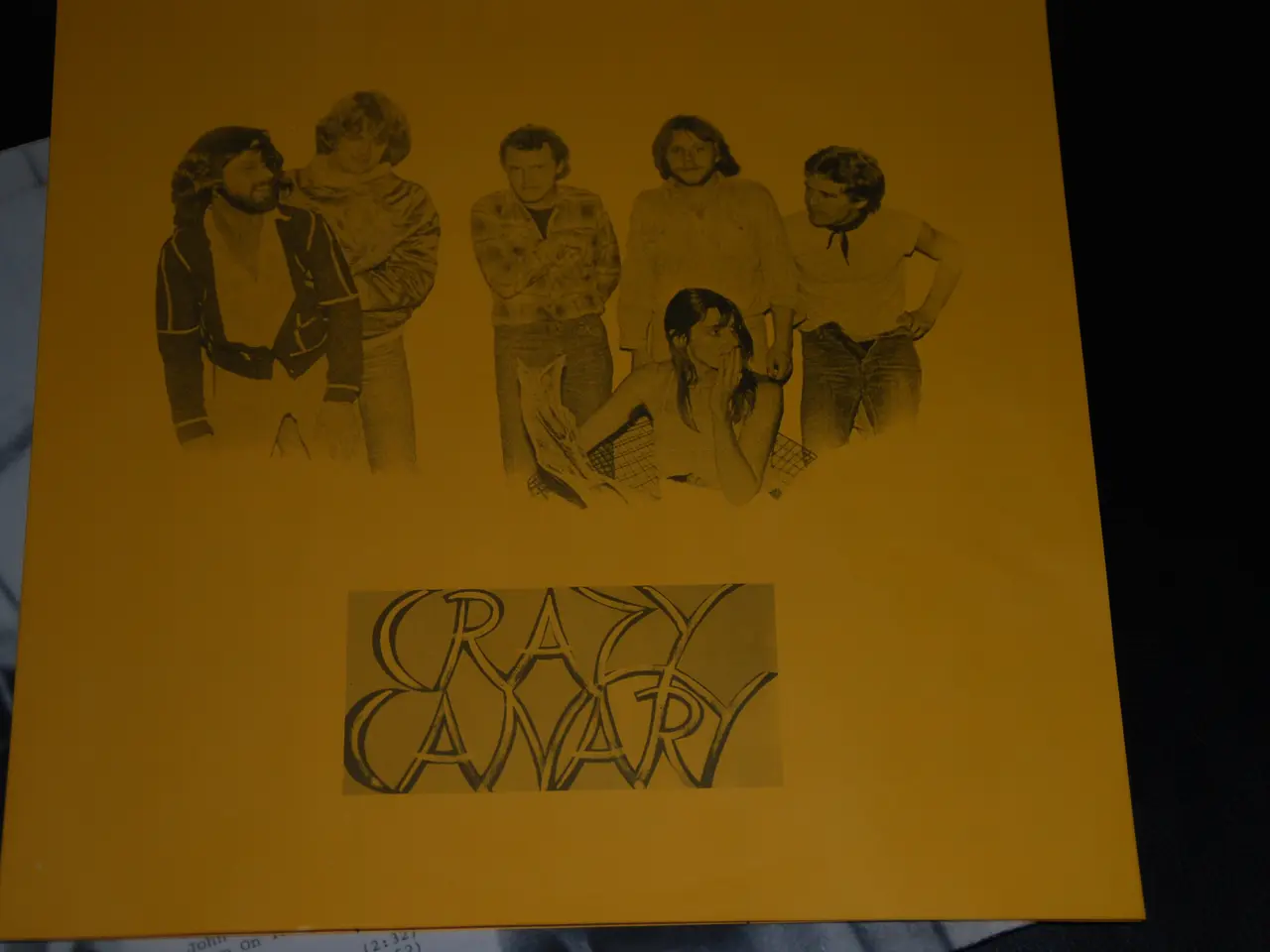Billede 3 - Vinylplade - Crazy Canary