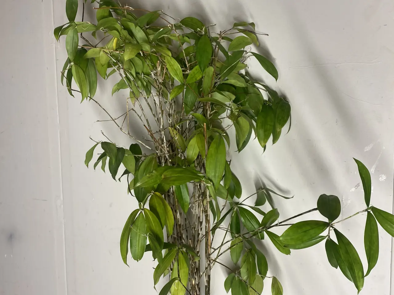 Billede 1 - Genbrugs Planter