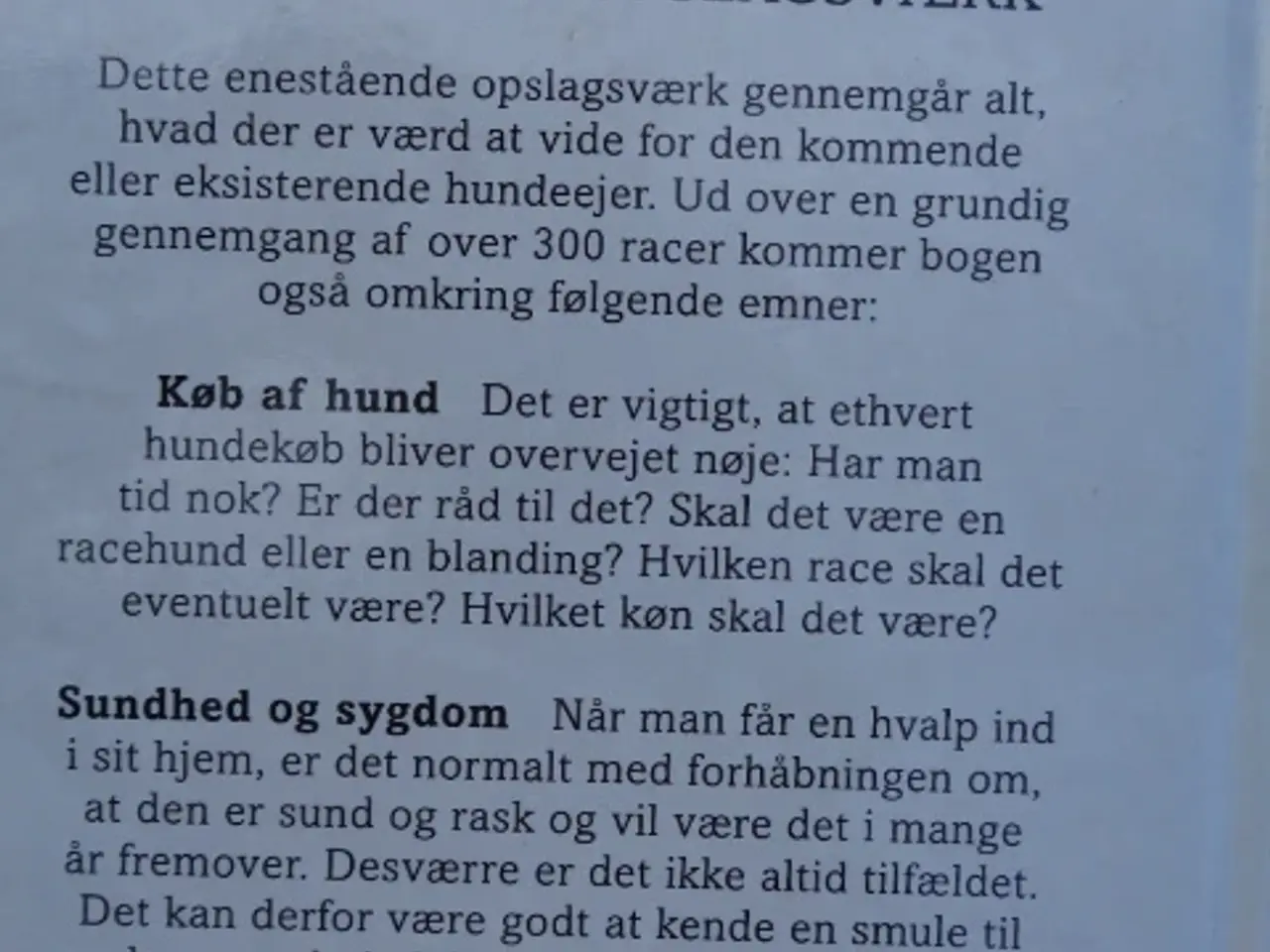 Billede 4 - Hunde