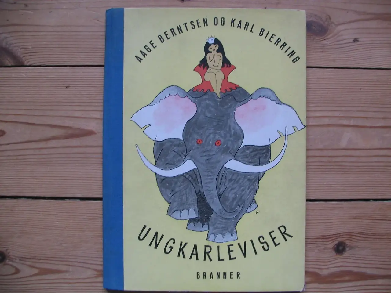 Billede 1 - Ungkarleviser
