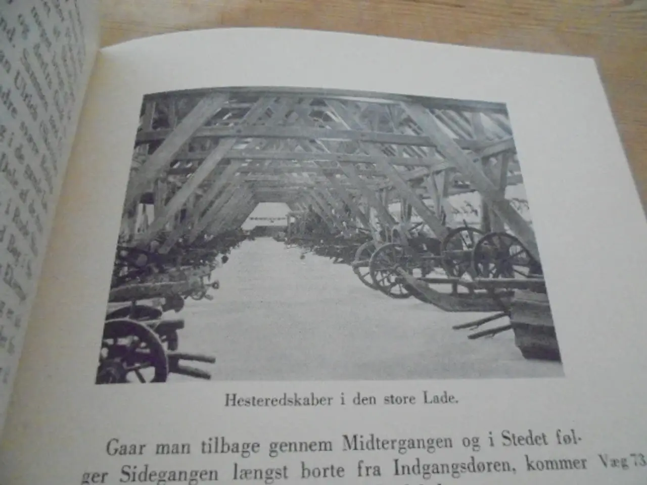 Billede 5 - Skov og Skovbrug i Jagt- og skovbrugsmuset, Hørsho