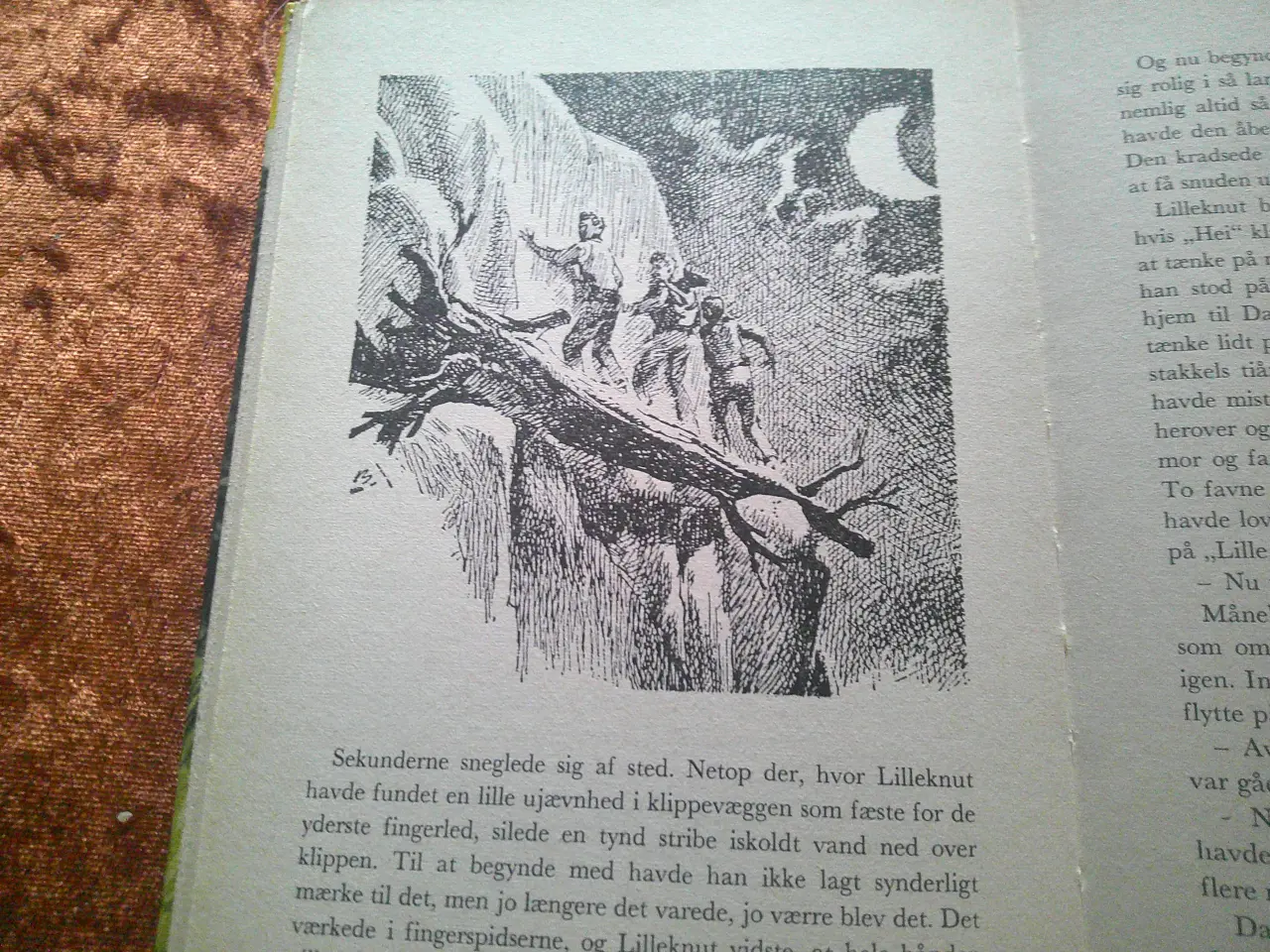 Billede 2 - Fire liv på spil, Elmer Horn,