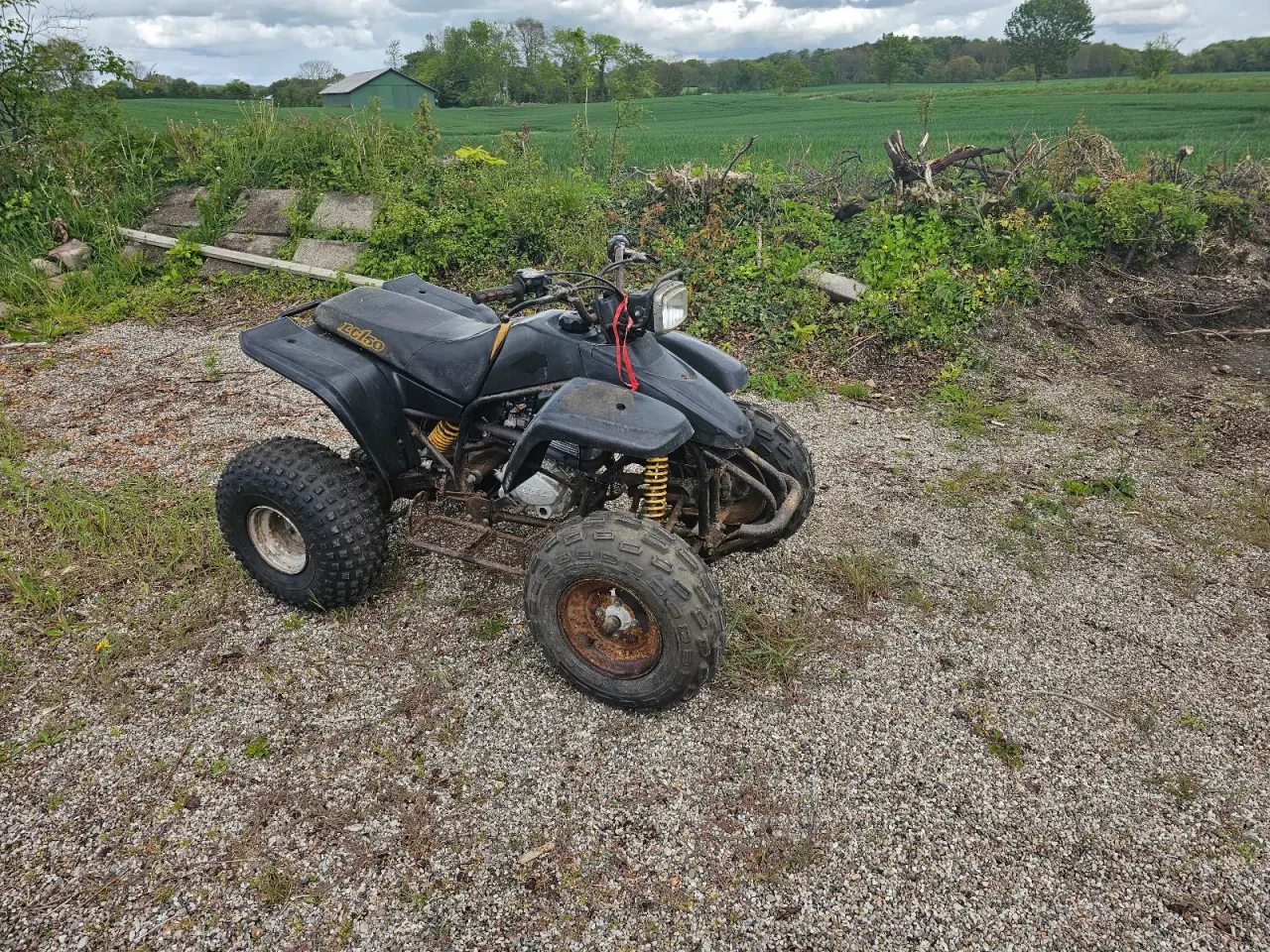 Billede 3 - Nyserviceret texas atv