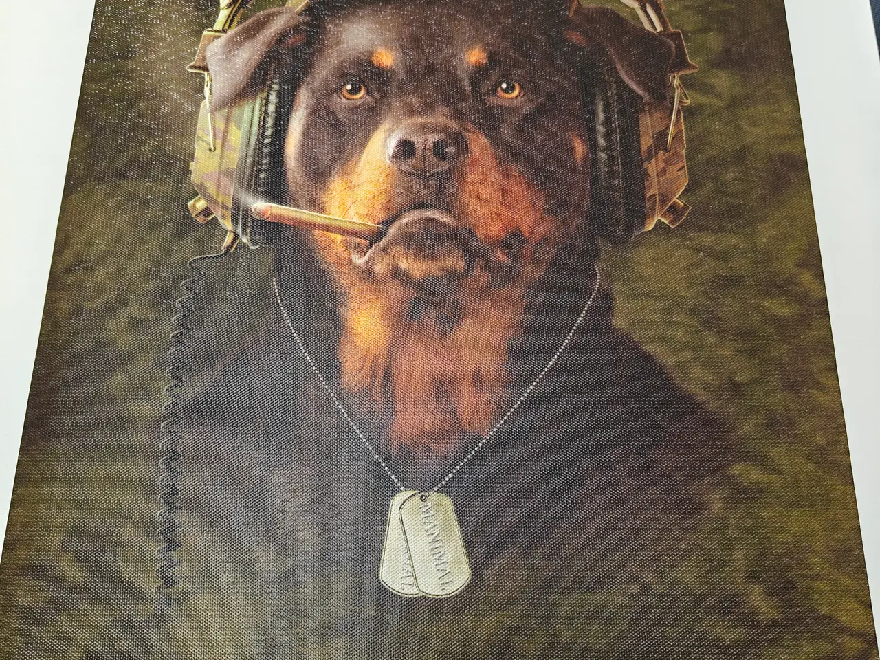 Billede 3 - Hunde billeder