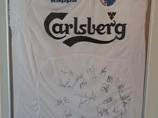 Sæson 2011