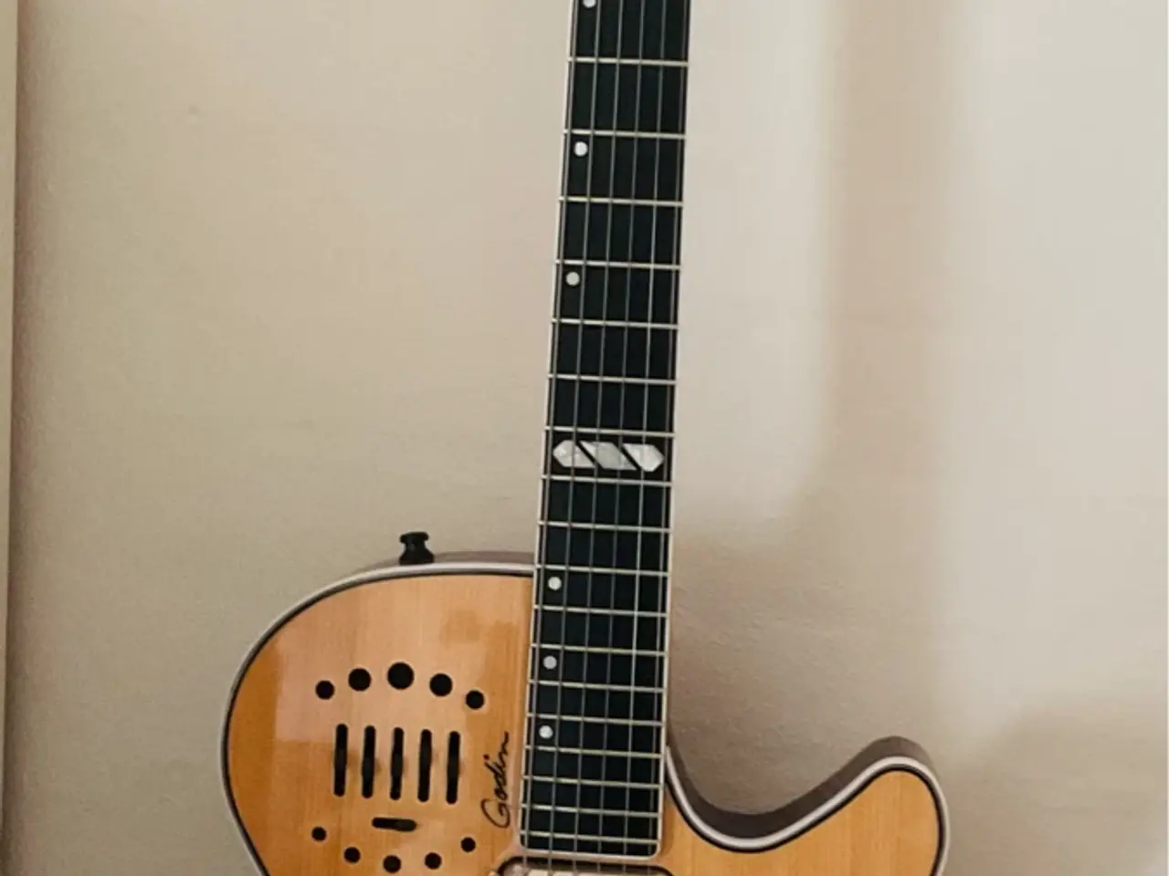 Billede 2 - Godin steel