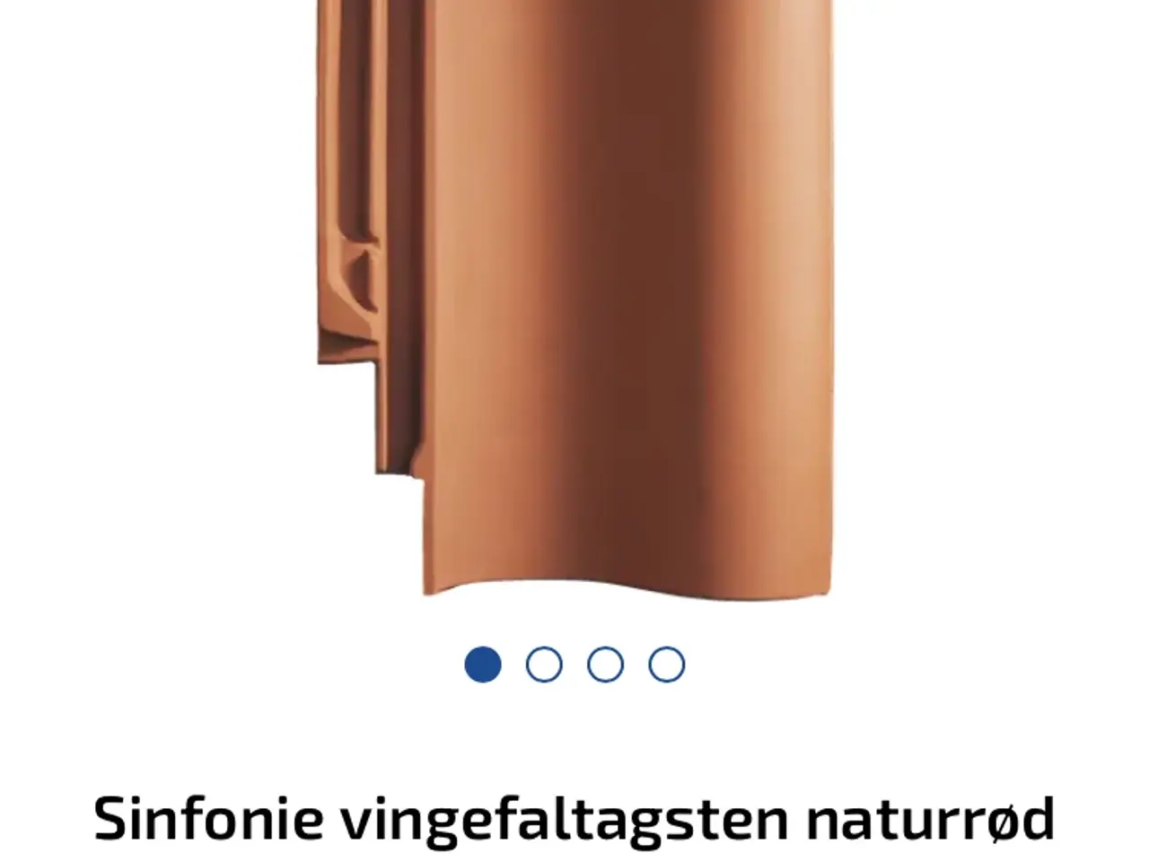 Billede 4 - Vingefaltagsten 