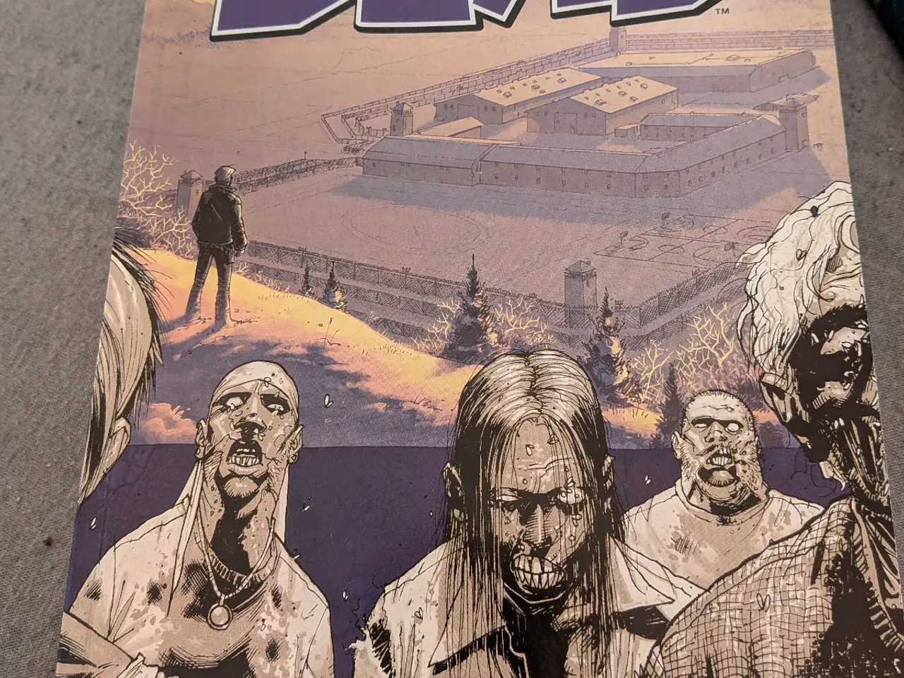 Billede 4 - 1-6 The walking dead bøger