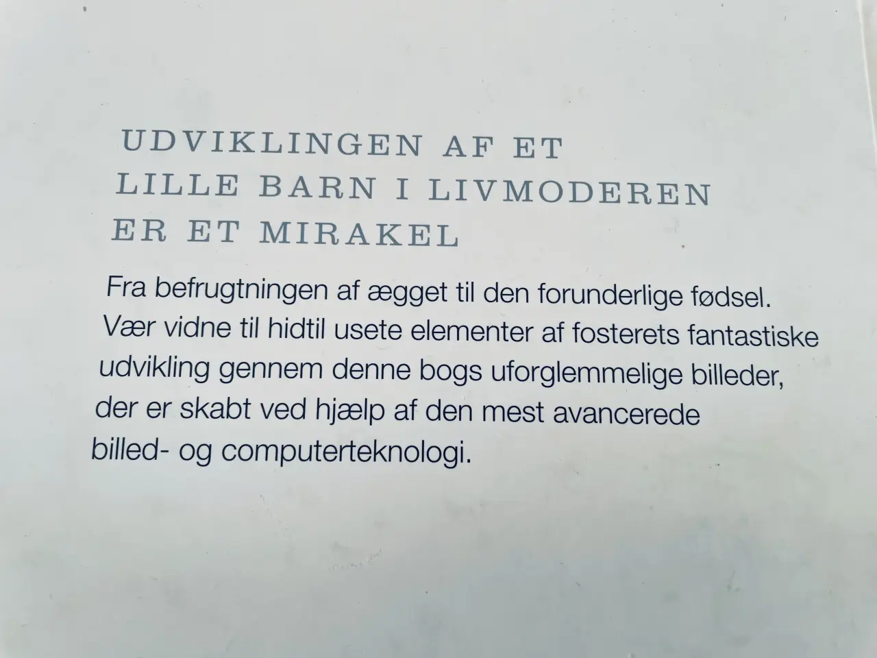 Billede 7 - Fra undfangelse til fødsel