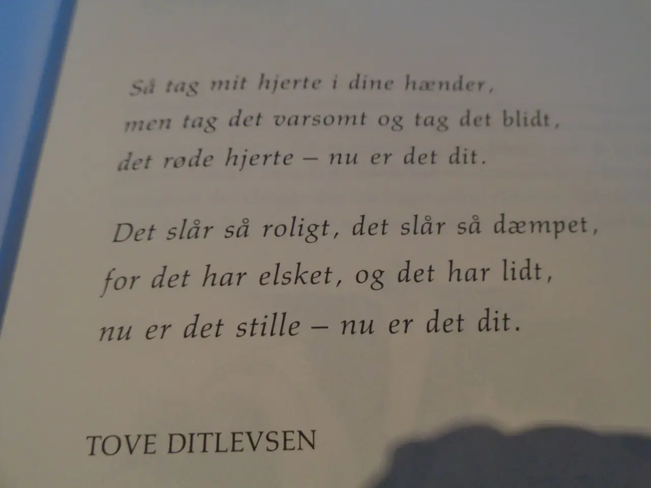 Billede 4 - Bitre Hvedebrødsdage