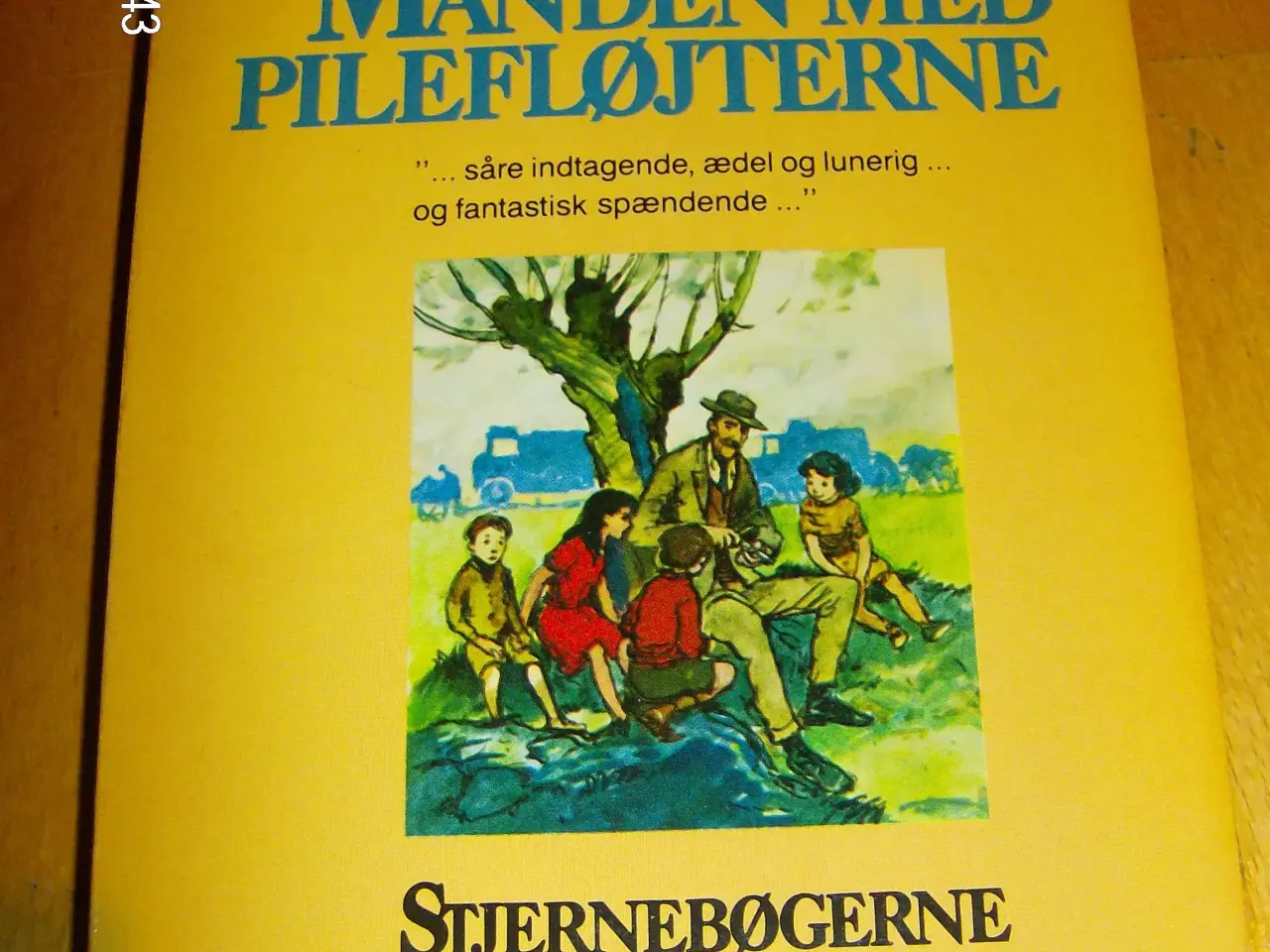 Billede 1 - Manden med pilefløjterne