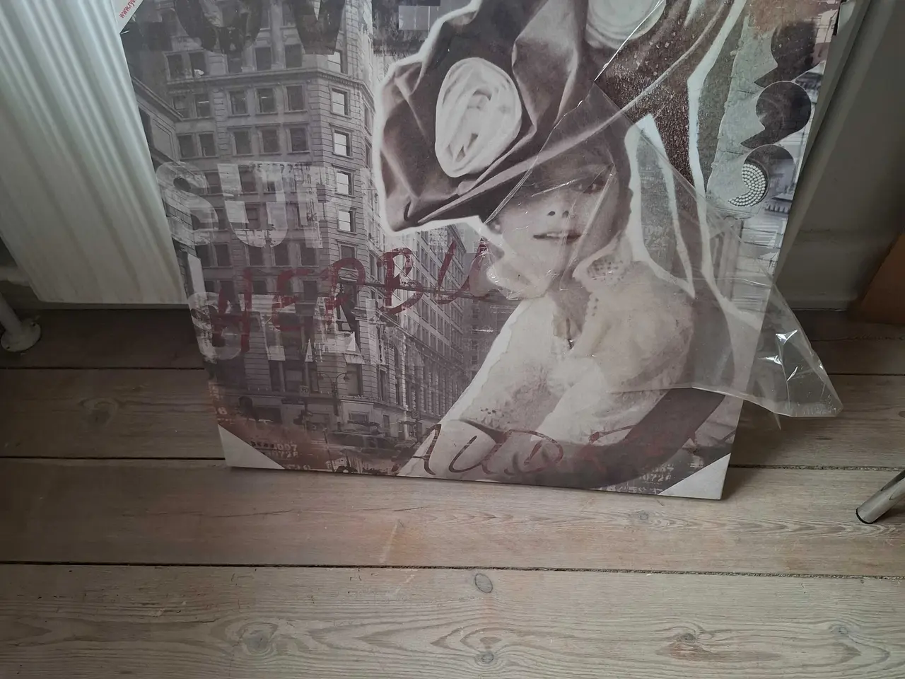 Billede 1 - Billede med dame 