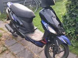 Vga sport