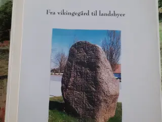 Fra vikingegård til landsbyer