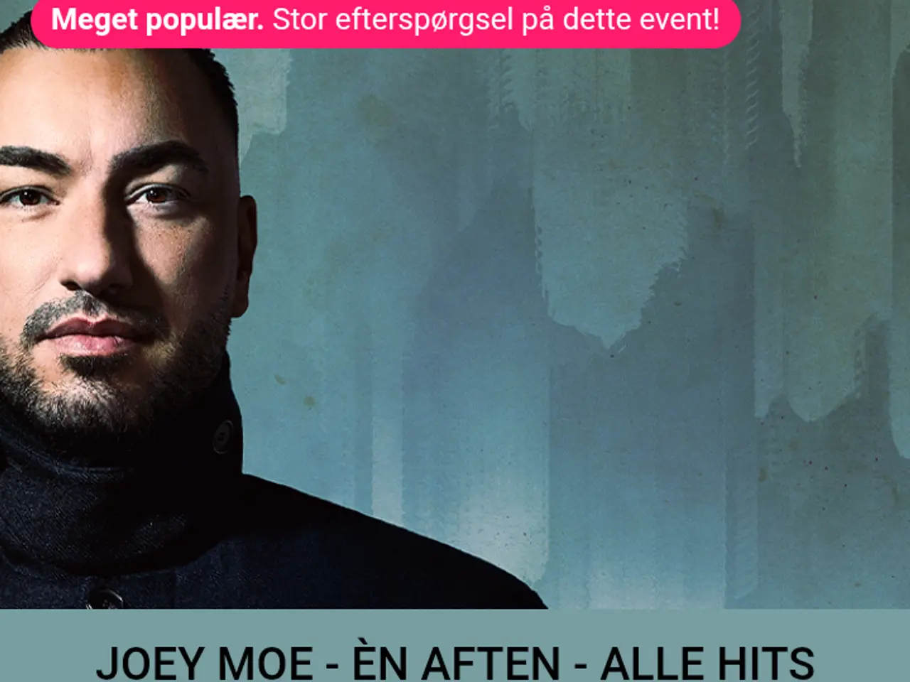 Billede 1 - Joe Moe koncert