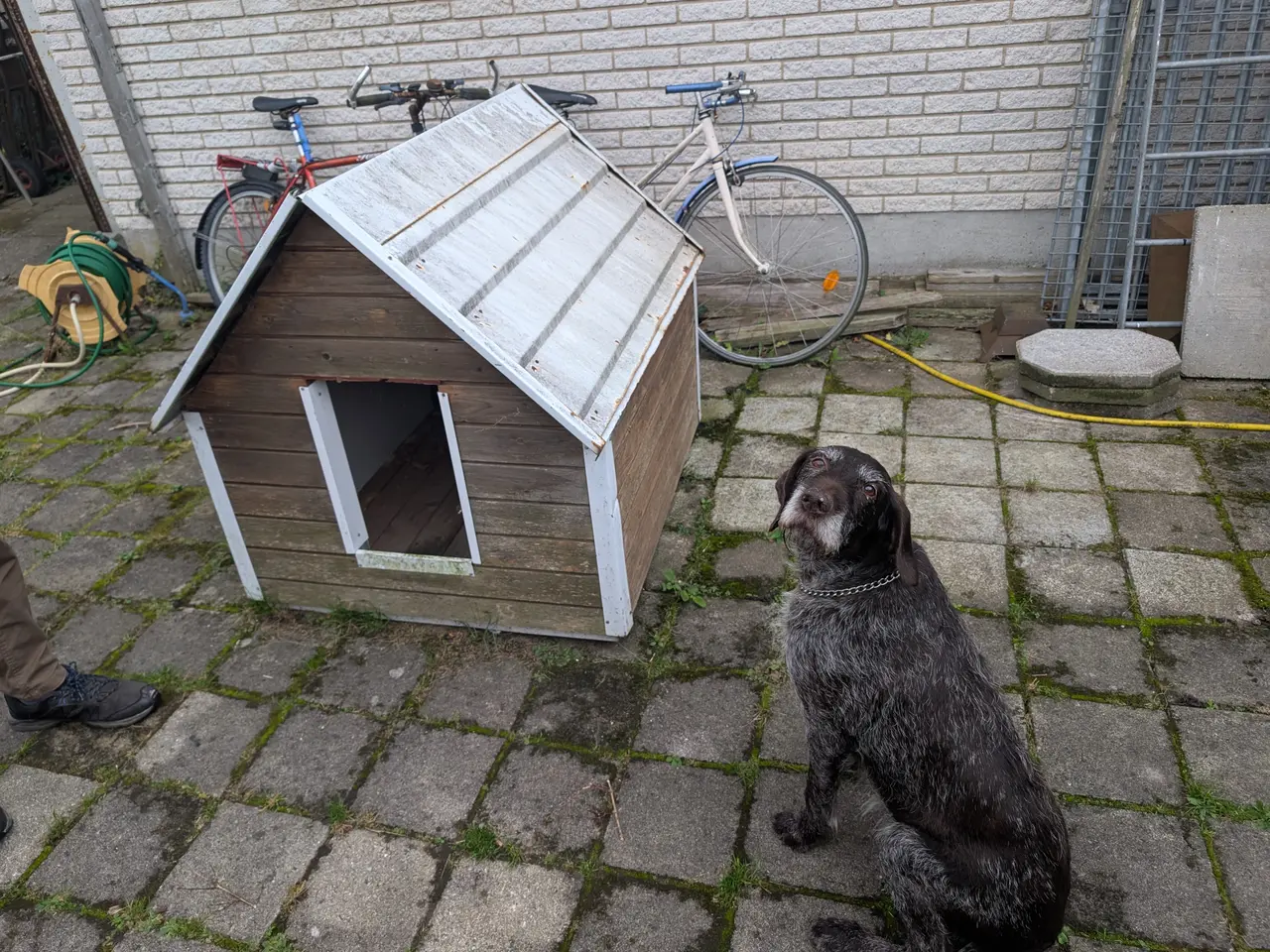Billede 1 - Hundehus uden hund 1 kr